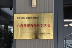 北京心理健康服务新标准：科班团队如何重构专业咨询体系