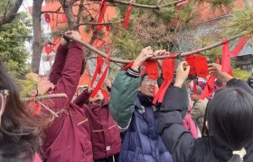 高考复读学校观察：教学体系与管理模式在备考中的实践